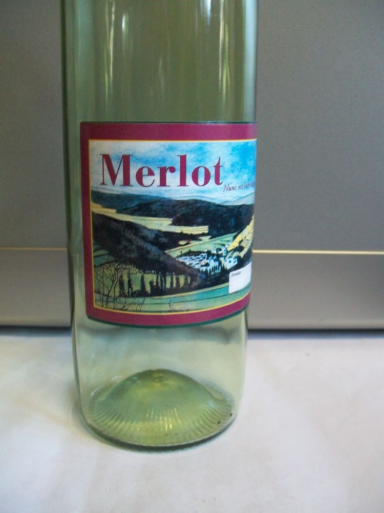 Etichetta vino merlot